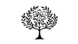 橄榄画报 Logo