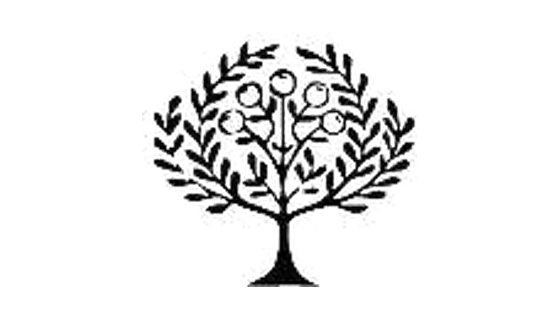 橄榄画报 Logo