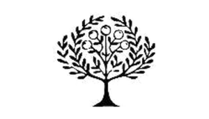 橄榄古典音乐 Logo