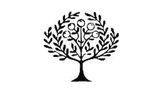 橄榄古典音乐 Logo